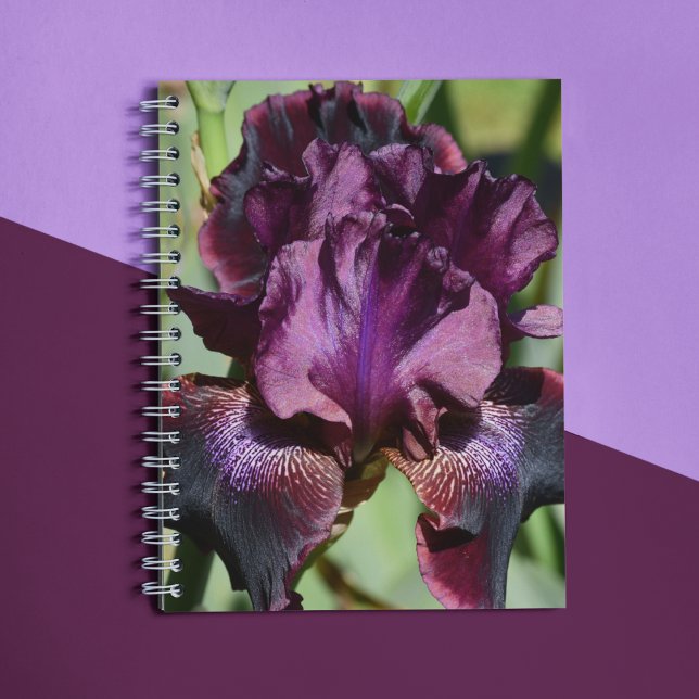 Deep Violet Iris Bloom Floral Notebook (In Situ)