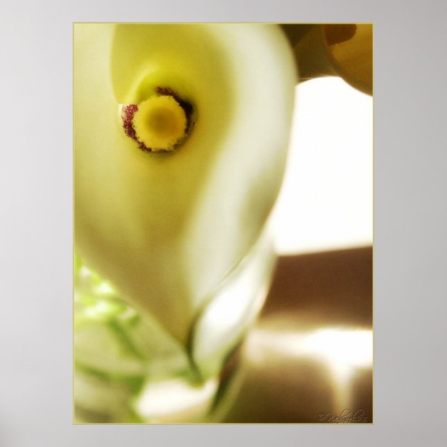 Deep Within Poster (Front)