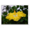 Deep Yellow Hibiscus Card
