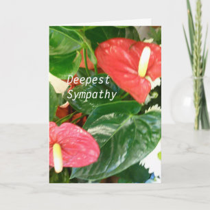deepest Sympathy Card