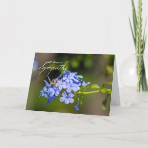 Deepest Sympathy Card