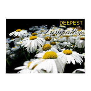 "Deepest Sympathy" Field of Daisies Card