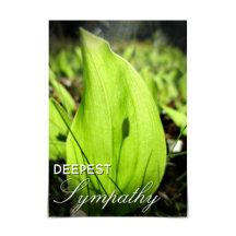 "Deepest Sympathy" Moss and Dogwood Card