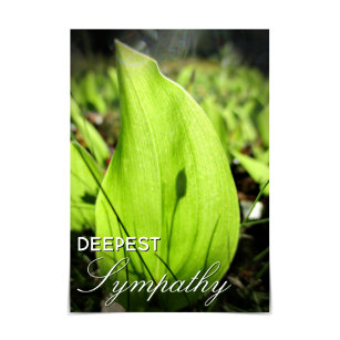 "Deepest Sympathy" Moss and Dogwood Card