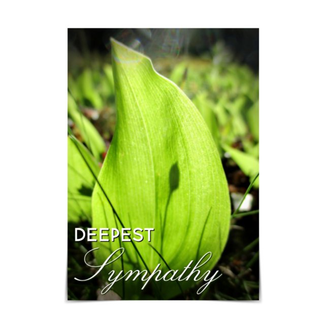 "Deepest Sympathy" Moss and Dogwood Card (Creator Uploaded)