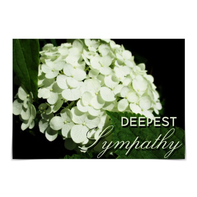 "Deepest Sympathy" White Hydrangea Card (Creator Uploaded)