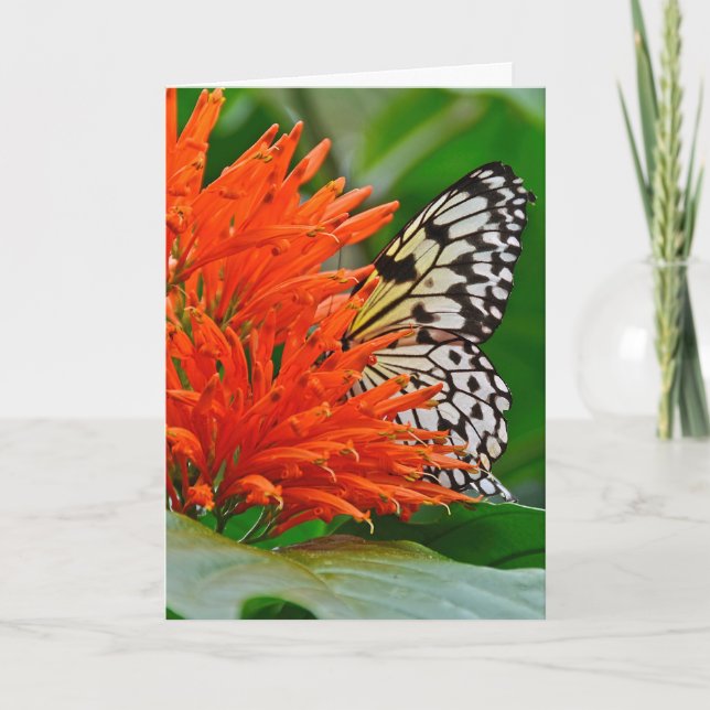 Deepest Sympathy with Butterfly Card (Front)