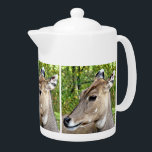 DEER<br><div class="desc">A photographic design of the head of a beautiful deer.</div>