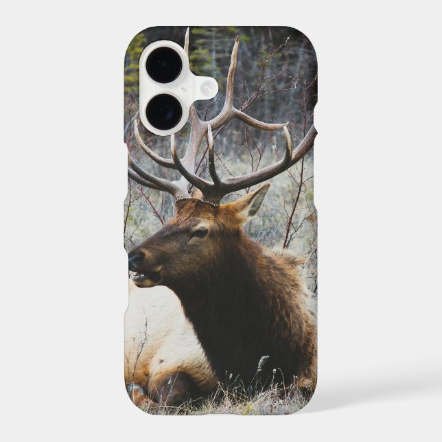 Deer (Back)