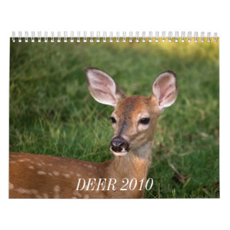 DEER 2010 CALENDAR