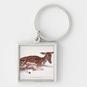 deer 2 key ring