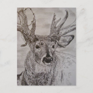 deer 2 postcard