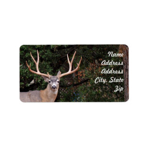 Deer Address Sticker