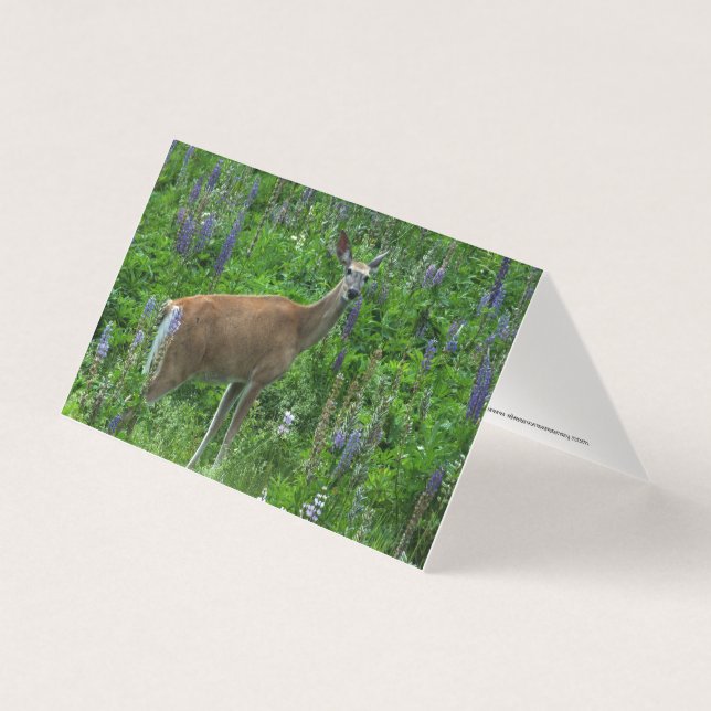 Deer Among the Lupines (Front)