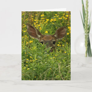 Deer Among Wildflowers Greeting Card