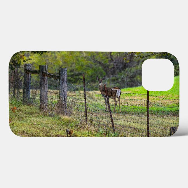 Deer And A Squirrel Painterly Case-Mate iPhone Case (Back (Horizontal))