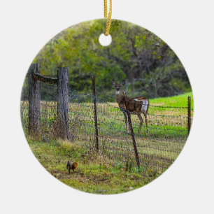 Deer And A Squirrel Painterly Ceramic Ornament