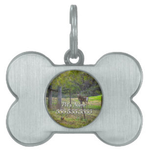 Deer And A Squirrel Painterly Pet ID Tag