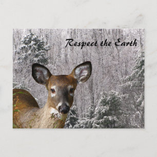 Deer and Frosty Hills Postcard