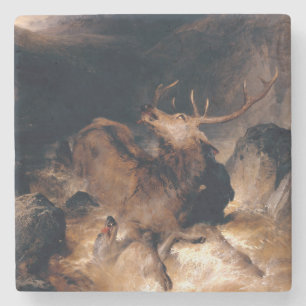 Deer and Hound Dogs in a Mountain Torrent Stone Coaster