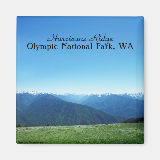 Deer and the Olympics Magnet (Front)