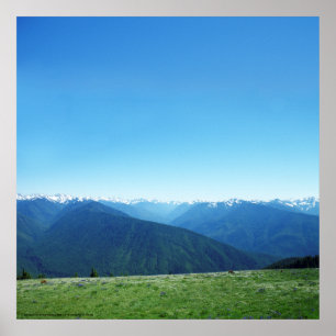 Deer and the Olympics Poster