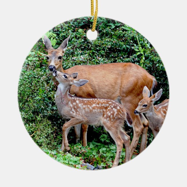 Deer and Twin Fawns Animal Family Ceramic Ornament (Front)