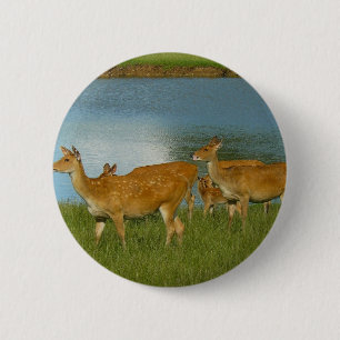 Deer Animal Nature Peace Love Destiny Fun Art 6 Cm Round Badge