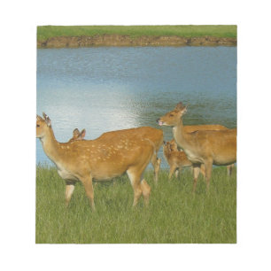 Deer Animal Nature Peace Love Destiny Fun Art Notepad