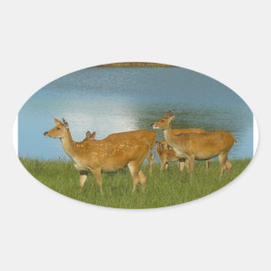 Deer Animal Nature Peace Love Destiny Fun Art Oval Sticker