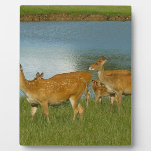Deer Animal Nature Peace Love Destiny Fun Art Plaque