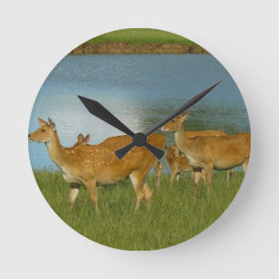 Deer Animal Nature Peace Love Destiny Fun Art Round Clock