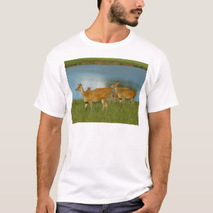 Deer Animal Nature Peace Love Destiny Fun Art T-Shirt