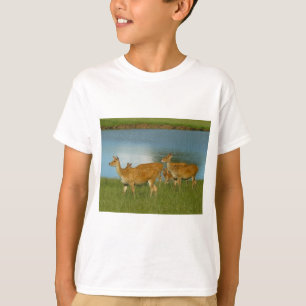 Deer Animal Nature Peace Love Destiny Fun Art T-Shirt