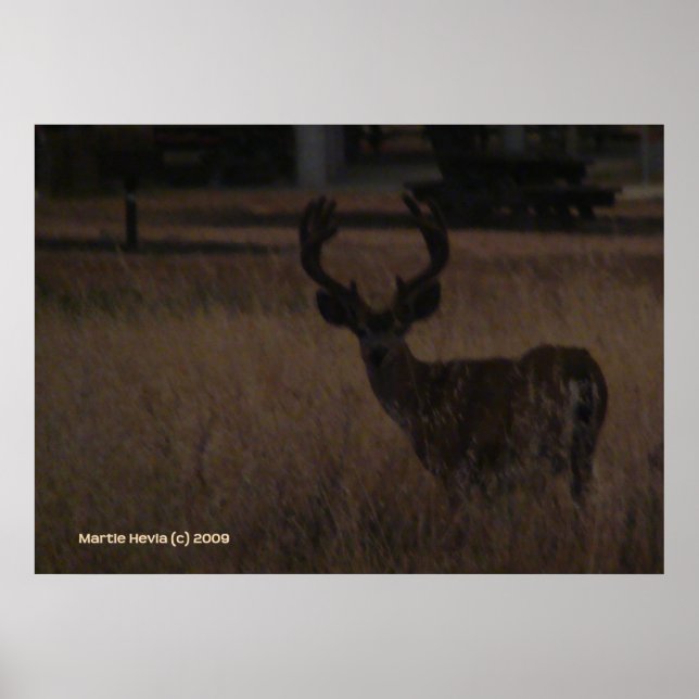 Deer Antlers Poster (Front)