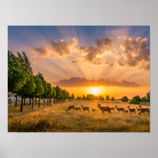Deer at Golden Sunset Poster - Wildlife Herd in Fi