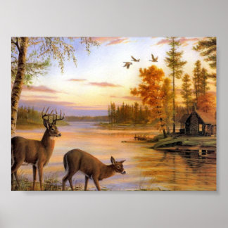 Deer At Lake Poster