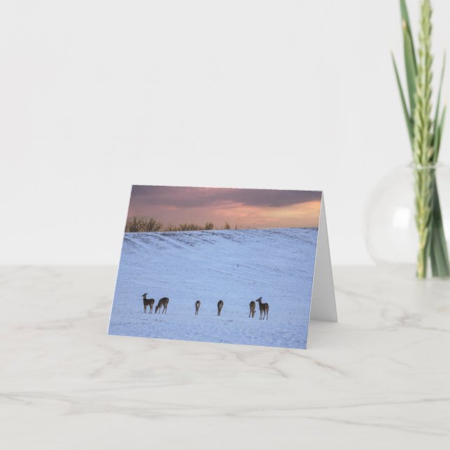 Deer at sunset note card (Front)
