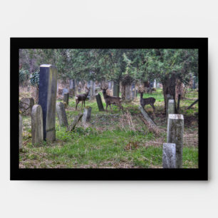 Deer At Zentralfriedhof Envelope