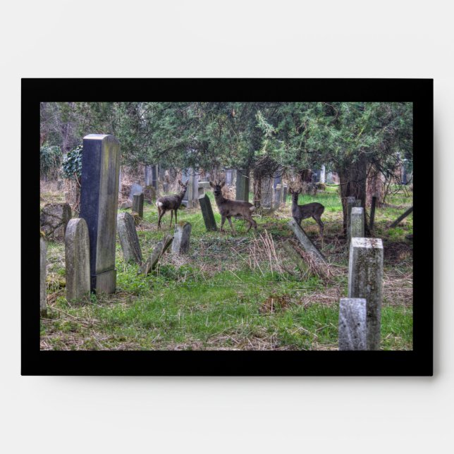 Deer At Zentralfriedhof Envelope (Front)