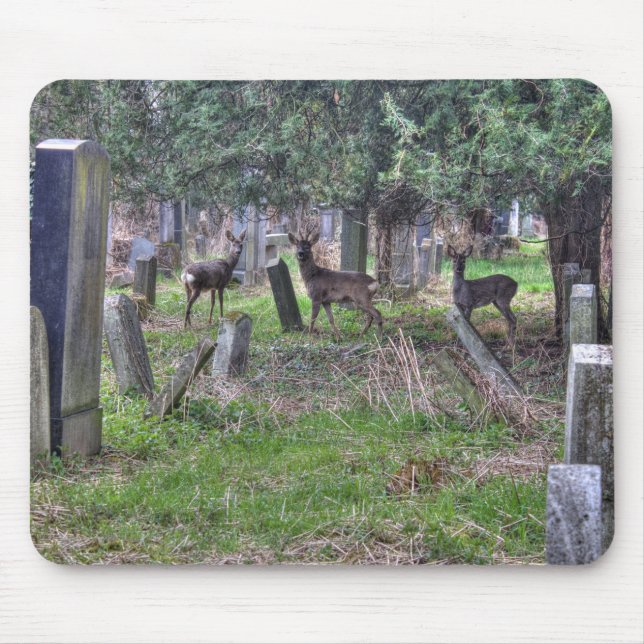 Deer At Zentralfriedhof Mouse Pad (Front)