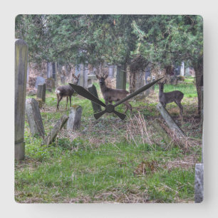 Deer At Zentralfriedhof Square Wall Clock