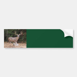 Deer Background Bumper Sticker