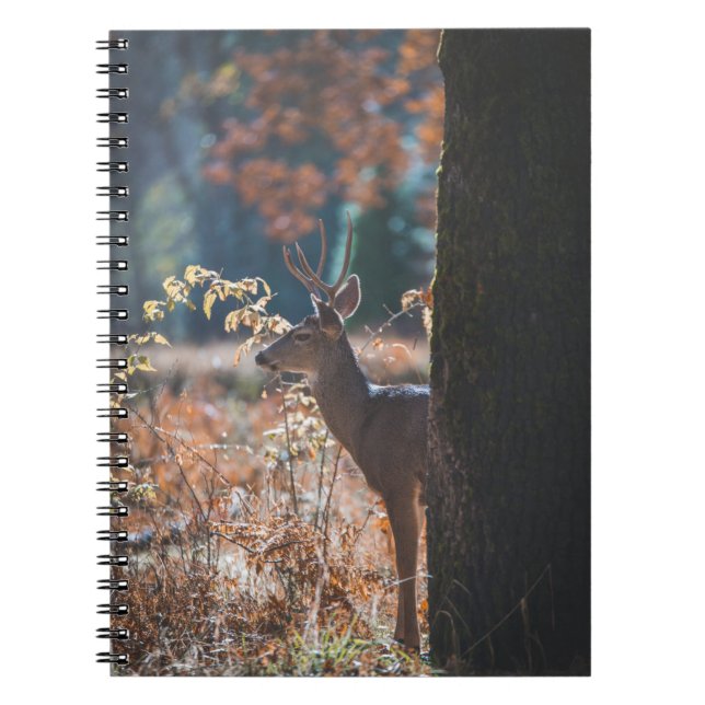 Deer Behind The Tree Notebook (Front)