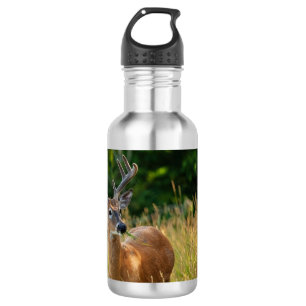 Deer Buck 532 Ml Water Bottle