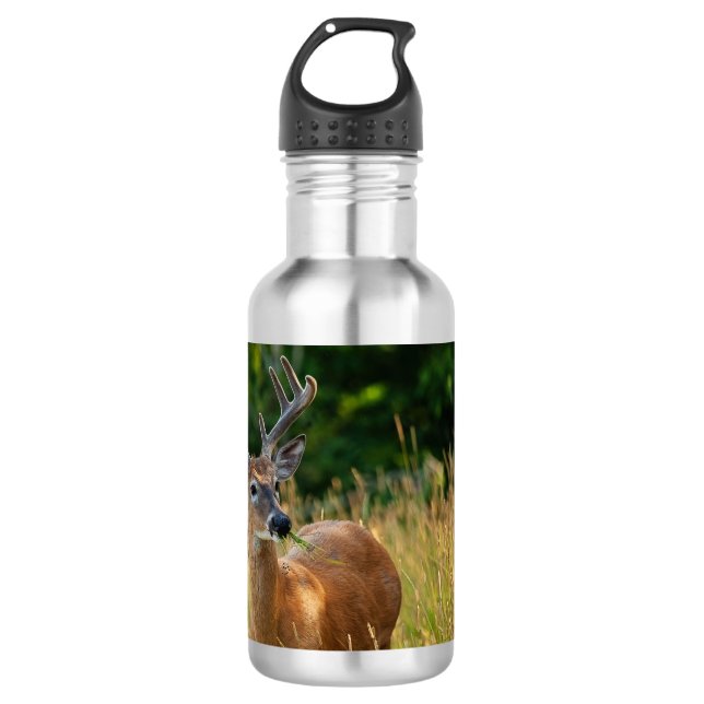 Deer Buck 532 Ml Water Bottle (Front)