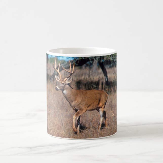 Deer Buck Coffee Mug (Center)
