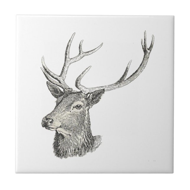 Deer Buck Head with Antlers Black and White Art Ceramic Tile (Front)
