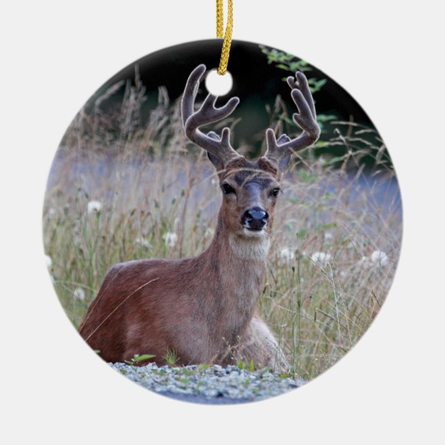 Deer Buck Lying Down Ceramic Ornament (Front)