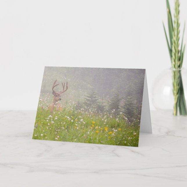 Deer Buck | Mount Rainier National Park Card (Front)